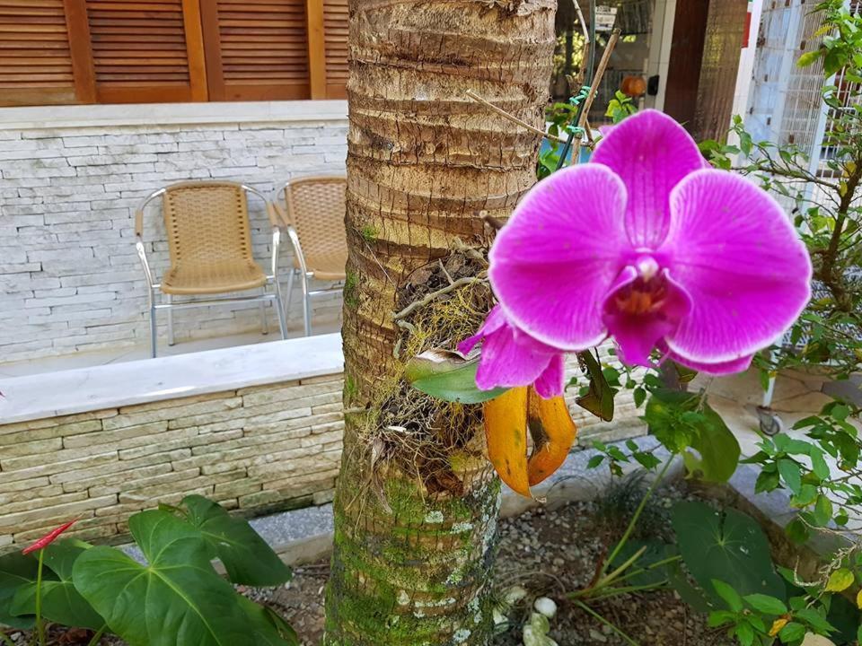 Pousada Morada Das Ilhas Boicucanga Exterior photo